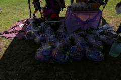 IMG-20231214-WA0027
